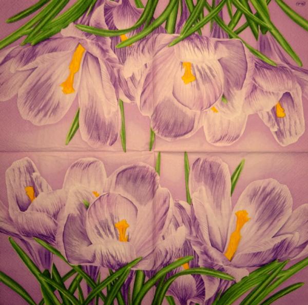 170 Daffodils - 3 ply -